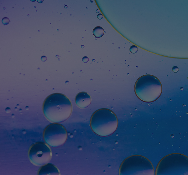 bifa·必发(中国)唯一官方网站